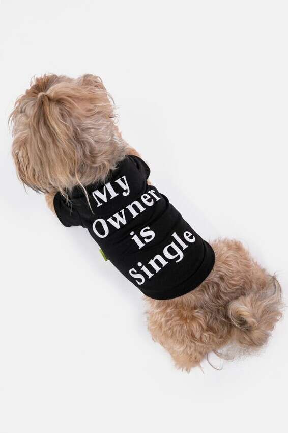 הבעלים שלי רווק. גאוני // צילום: בר שריר